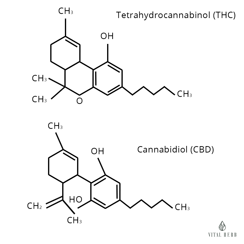 Molecular Composition of CBD and THC